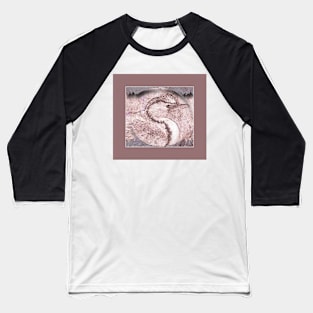 currawong bird Baseball T-Shirt